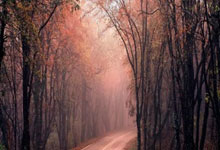 壹号娱乐官网：倒霉，赫罗纳后卫克雷伊奇本赛季已打进三次乌龙球.