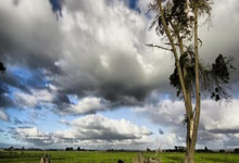 伊埃拉2023年毕业于纳达尔网校，当时斯瓦泰克给她颁发毕业证.