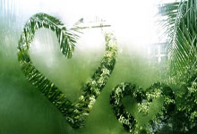 壹号娱乐官网：意甲：科莫0比2输给菲奥伦蒂那.